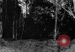 Standbild tarnen Techniken United States USA, 1945, aus Sekunde 12 historischem Filmmaterial Videoclip 65675050681