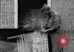 Standbild tarnen Techniken United States USA, 1945, aus Sekunde 37 historischem Filmmaterial Videoclip 65675050681