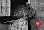 Standbild tarnen Techniken United States USA, 1945, aus Sekunde 38 historischem Filmmaterial Videoclip 65675050681