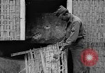 Standbild tarnen Techniken United States USA, 1945, aus Sekunde 40 historischem Filmmaterial Videoclip 65675050681