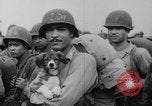 Standbild amerikanische Soldaten Philippinen, 1945, aus Sekunde 16 historischem Filmmaterial Videoclip 65675050682