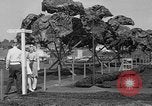 Standbild Boeing Anlage Seattle Washington USA, 1945, aus Sekunde 36 historischem Filmmaterial Videoclip 65675050684