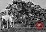 Standbild Boeing Anlage Seattle Washington USA, 1945, aus Sekunde 37 historischem Filmmaterial Videoclip 65675050684