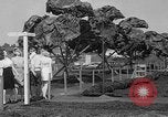 Standbild Boeing Anlage Seattle Washington USA, 1945, aus Sekunde 38 historischem Filmmaterial Videoclip 65675050684