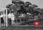 Standbild Boeing Anlage Seattle Washington USA, 1945, aus Sekunde 39 historischem Filmmaterial Videoclip 65675050684