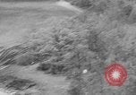 Image of communication wires United States USA, 1945, second 34 stock footage video 65675050686