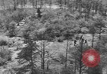 Image of communication wires United States USA, 1945, second 57 stock footage video 65675050686