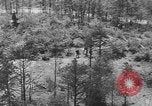 Image of communication wires United States USA, 1945, second 58 stock footage video 65675050686