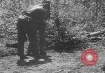 Image of communication wires United States USA, 1945, second 59 stock footage video 65675050686