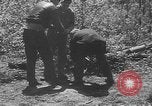 Image of communication wires United States USA, 1945, second 61 stock footage video 65675050686