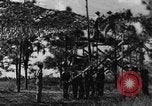 Image of camouflaged net United States USA, 1941, second 1 stock footage video 65675050731