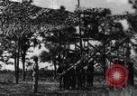 Image of camouflaged net United States USA, 1941, second 3 stock footage video 65675050731