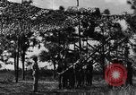 Image of camouflaged net United States USA, 1941, second 4 stock footage video 65675050731