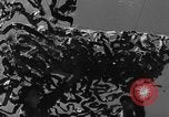 Image of camouflaged net United States USA, 1941, second 7 stock footage video 65675050731