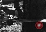 Image of camouflaged net United States USA, 1941, second 21 stock footage video 65675050731
