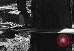 Image of camouflaged net United States USA, 1941, second 22 stock footage video 65675050731