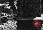 Image of camouflaged net United States USA, 1941, second 23 stock footage video 65675050731