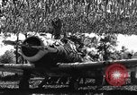 Image of camouflaged net United States USA, 1941, second 37 stock footage video 65675050731