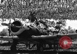 Image of camouflaged net United States USA, 1941, second 39 stock footage video 65675050731