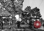 Image of camouflaged net United States USA, 1941, second 40 stock footage video 65675050731