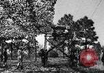 Image of camouflaged net United States USA, 1941, second 41 stock footage video 65675050731