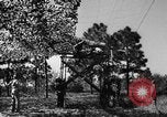 Image of camouflaged net United States USA, 1941, second 43 stock footage video 65675050731