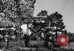Image of camouflaged net United States USA, 1941, second 44 stock footage video 65675050731