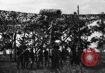 Image of camouflaged net United States USA, 1941, second 47 stock footage video 65675050731