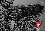Image of camouflaged net United States USA, 1941, second 51 stock footage video 65675050731