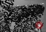 Image of camouflaged net United States USA, 1941, second 52 stock footage video 65675050731