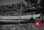 Image of camouflaged net United States USA, 1941, second 53 stock footage video 65675050731