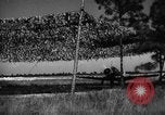 Image of camouflaged net United States USA, 1941, second 55 stock footage video 65675050731