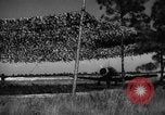 Image of camouflaged net United States USA, 1941, second 56 stock footage video 65675050731