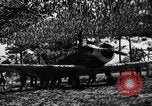 Image of camouflaged net United States USA, 1941, second 57 stock footage video 65675050731