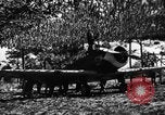 Image of camouflaged net United States USA, 1941, second 58 stock footage video 65675050731