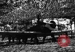 Image of camouflaged net United States USA, 1941, second 60 stock footage video 65675050731
