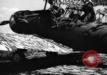 Image of camouflaged net United States USA, 1941, second 61 stock footage video 65675050731