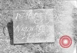 Standbild 55 Brigade AAA 90 mm Kanone unter camouflage Netting Hammond Louisiana USA, 1943, aus Sekunde 1 historischem Filmmaterial Videoclip 65675050732