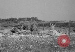 Standbild 55 Brigade AAA 90 mm Kanone unter camouflage Netting Hammond Louisiana USA, 1943, aus Sekunde 3 historischem Filmmaterial Videoclip 65675050732