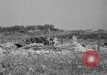 Standbild 55 Brigade AAA 90 mm Kanone unter camouflage Netting Hammond Louisiana USA, 1943, aus Sekunde 5 historischem Filmmaterial Videoclip 65675050732