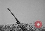 Standbild 55 Brigade AAA 90 mm Kanone unter camouflage Netting Hammond Louisiana USA, 1943, aus Sekunde 26 historischem Filmmaterial Videoclip 65675050732