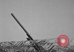 Standbild 55 Brigade AAA 90 mm Kanone unter camouflage Netting Hammond Louisiana USA, 1943, aus Sekunde 27 historischem Filmmaterial Videoclip 65675050732