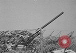 Standbild 55 Brigade AAA 90 mm Kanone unter camouflage Netting Hammond Louisiana USA, 1943, aus Sekunde 37 historischem Filmmaterial Videoclip 65675050732