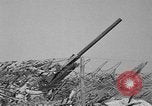 Standbild 55 Brigade AAA 90 mm Kanone unter camouflage Netting Hammond Louisiana USA, 1943, aus Sekunde 45 historischem Filmmaterial Videoclip 65675050732