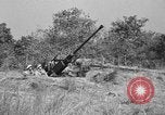 Immagine di Artiglieri contraerei buttare fuori il camuffamento e pistole di manovra Hammond Louisiana USA, 1943, secondo 4 filmato di repertorio 65675050733