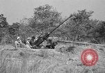 Immagine di Artiglieri contraerei buttare fuori il camuffamento e pistole di manovra Hammond Louisiana USA, 1943, secondo 7 filmato di repertorio 65675050733