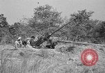 Immagine di Artiglieri contraerei buttare fuori il camuffamento e pistole di manovra Hammond Louisiana USA, 1943, secondo 8 filmato di repertorio 65675050733