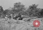 Immagine di Artiglieri contraerei buttare fuori il camuffamento e pistole di manovra Hammond Louisiana USA, 1943, secondo 9 filmato di repertorio 65675050733