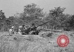 Immagine di Artiglieri contraerei buttare fuori il camuffamento e pistole di manovra Hammond Louisiana USA, 1943, secondo 14 filmato di repertorio 65675050733