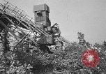 Immagine di Artiglieri contraerei buttare fuori il camuffamento e pistole di manovra Hammond Louisiana USA, 1943, secondo 25 filmato di repertorio 65675050733